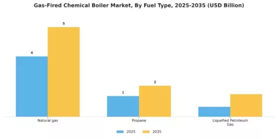 Gas Fired Chemical Boiler Market Segment Image 0