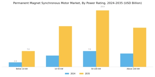 Permanent Magnet Synchronous Motor Market Segment Image 1