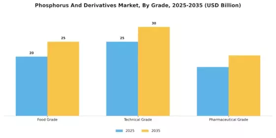 Phosphorus Derivatives Market
 Segment Image 2