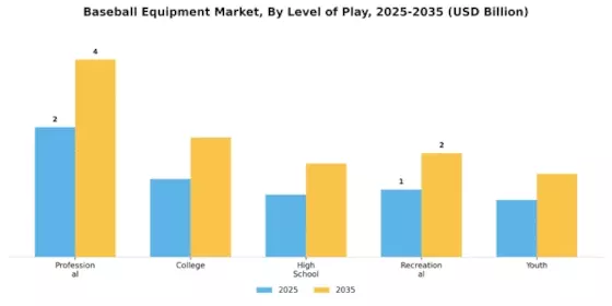 Baseball Equipment Market Segment Image 3