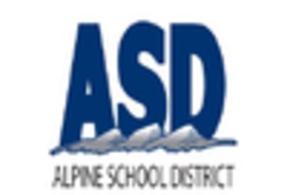 Car Amplifier Market key player