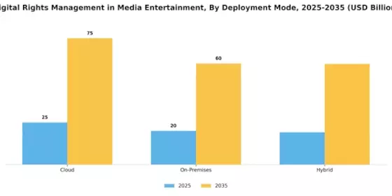 Digital Rights Management In Media & Entertainment Market Segment Image 1