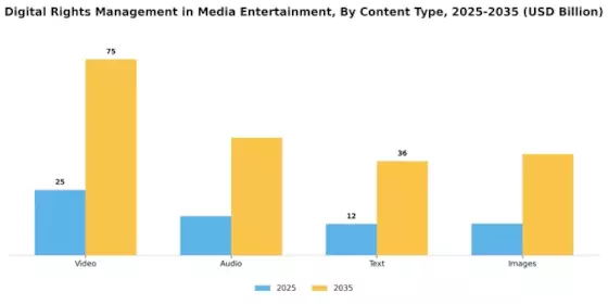 Digital Rights Management In Media & Entertainment Market Segment Image 3