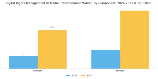 Digital Rights Management In Media & Entertainment Market Segment Image 0