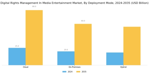 Digital Rights Management In Media & Entertainment Market Segment Image 1