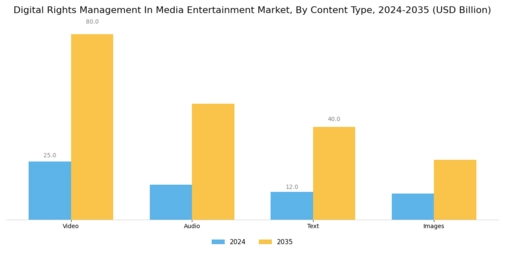 Digital Rights Management In Media & Entertainment Market Segment Image 3