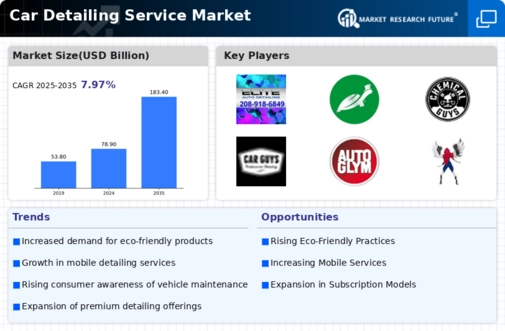 Car Detailing Service Market Research Report — Global Forecast till 2034 Infographic