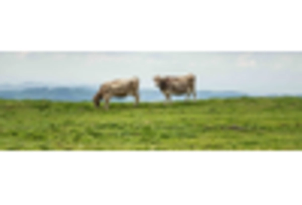 Organic Biogas Market key player