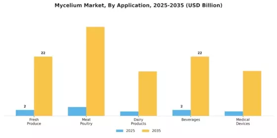 Mycelium Market
 Segment Image 1