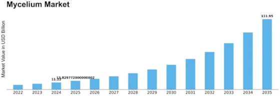 Mycelium Market
 Size