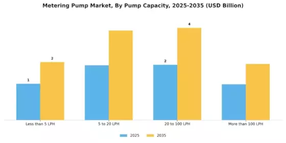 Metering Pumps Market Segment Image 3