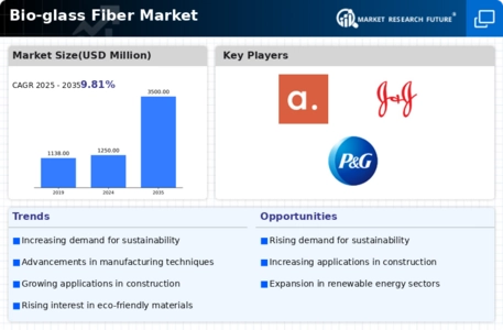 Bio-glass Fiber Market Infographic