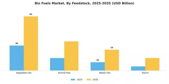 Bio Fuels Market Segment Image 2
