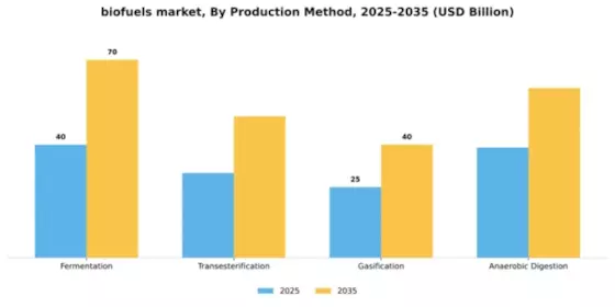 Bio Fuels Market Segment Image 3