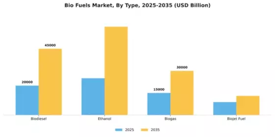 Bio Fuels Market Segment Image 4