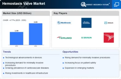 Hemostasis Valve Market Infographic