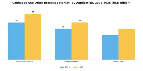 Marché des choux et autres brassicas Segment Image 1