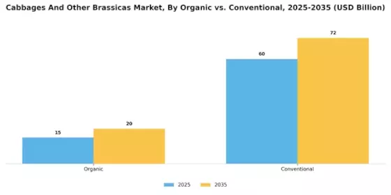 Marché des choux et autres brassicas Segment Image 4