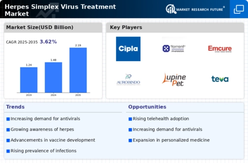 Herpes Simplex Virus Treatment Market Research Report-Forecast till 2034 Infographic