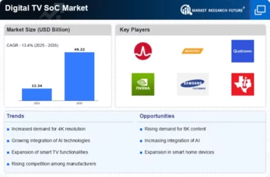 Digital TV SoC Market Infographic
