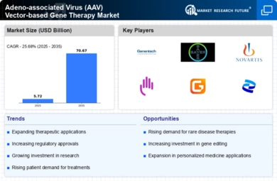 Adeno Associated Virus Aav Vector Based Gene Therapy Market Infographic