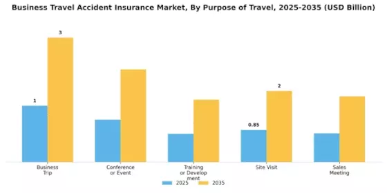 Business Travel Accident Insurance Market Segment Image 1