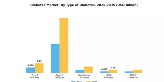 MEA Diabetes Market Segment Image 3