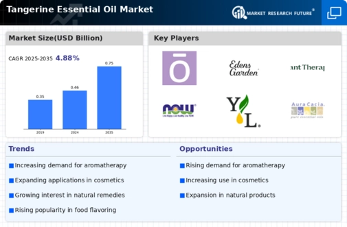 Tangerine Essential Oil Market Infographic