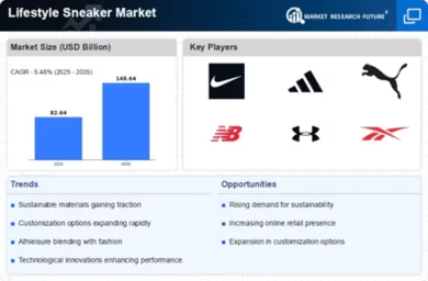 Lifestyle Sneaker Market Infographic