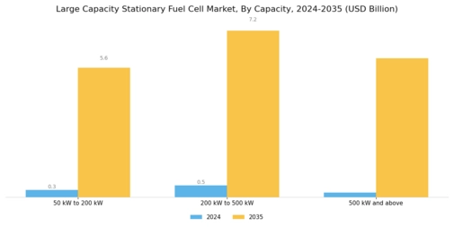 Large Capacity Stationary Fuel Cell Market Segment Image 0