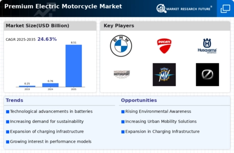 Premium Electric Motorcycle Market Infographic