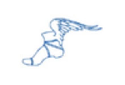 Construction Equipment Tire Market key player