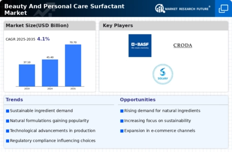 Beauty and Personal Care Surfactant Market Infographic