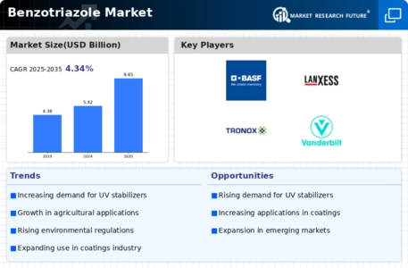 Benzotriazole Market Infographic