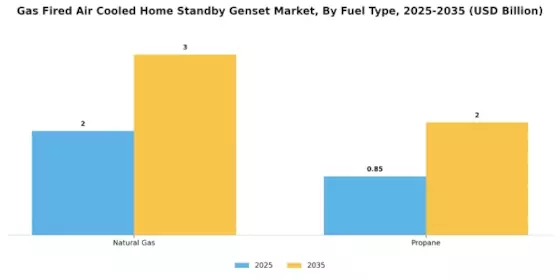 Gas Fired Air Cooled Home Standby Genset Market Segment Image 2