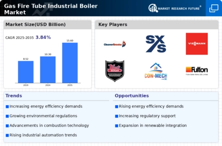 Gas Fire Tube Industrial Boiler Market Infographic Gas Fire Tube Industrial Boiler Market Infographic