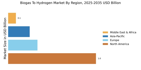 Biogas To Hydrogen Market Regional Image