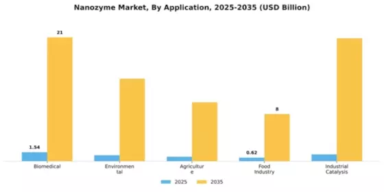 Nanozyme Market Segment Image 0