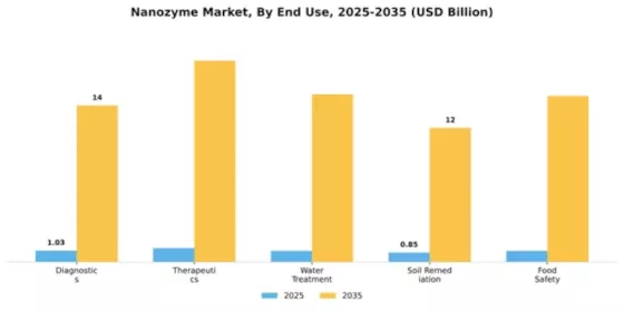 Nanozyme Market Segment Image 1