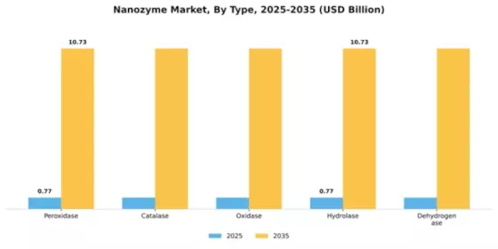 Nanozyme Market Segment Image 2