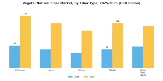 Vegetal Natural Fiber Market Segment Image 0
