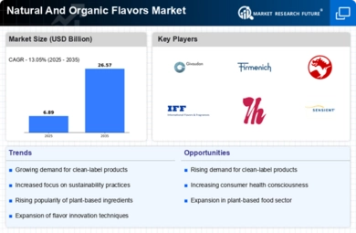 Natural And Organic Flavors Market Infographic
