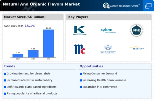 Natural And Organic Flavors Market Research Report — Global Forecast till 2034 Infographic