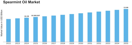 Spearmint Oil Market Size