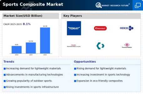 Sports Composite Market Infographic