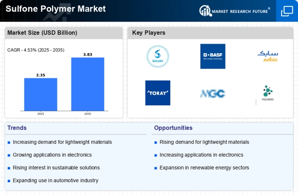 Sulfone Polymer Market Infographic