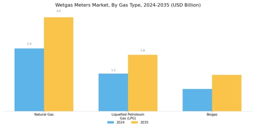 Wetgas Meters Market Segment Image 1