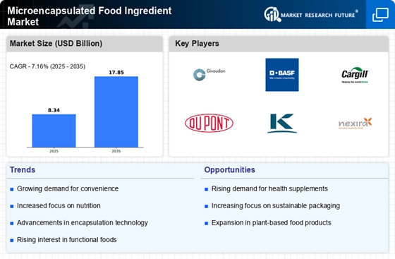 Microencapsulated Food Ingredient Market Infographic