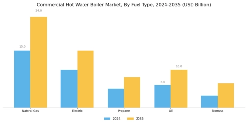 Commercial Hot Water Boiler Market Segment Image 0
