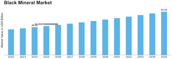 Black Mineral Market Size